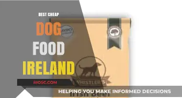 Affordable Nutrition: Top Budget-Friendly Dog Food Options in Ireland
