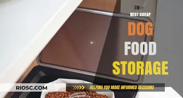 Smart Storage Solutions for Budget-Friendly Dog Food