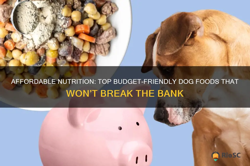 best cheap dog foods