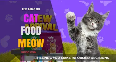 Purr-fectly Affordable: The Best Cheap Dry Cat Food Options for Your Feline Friend