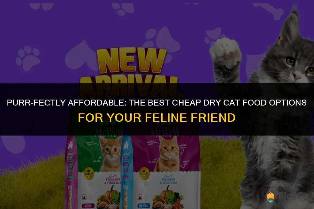 best cheap dry cat food meow