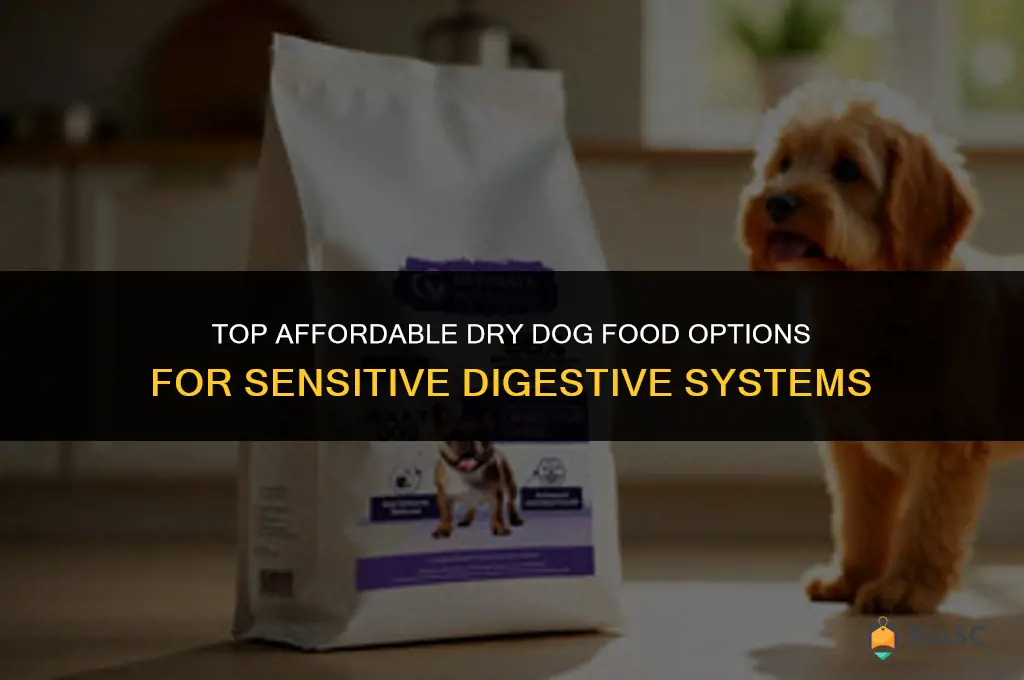 best cheap dry dog food sensitive digestive
