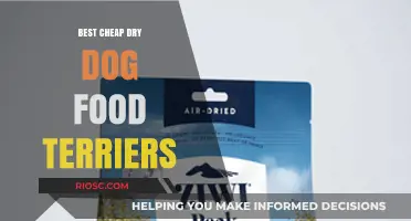 Affordable Nutrition for Your Terrier: Top Picks for Cheap Dry Dog Food