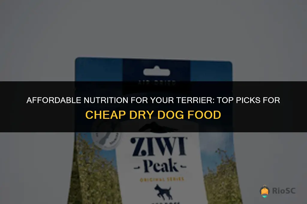 best cheap dry dog food terriers