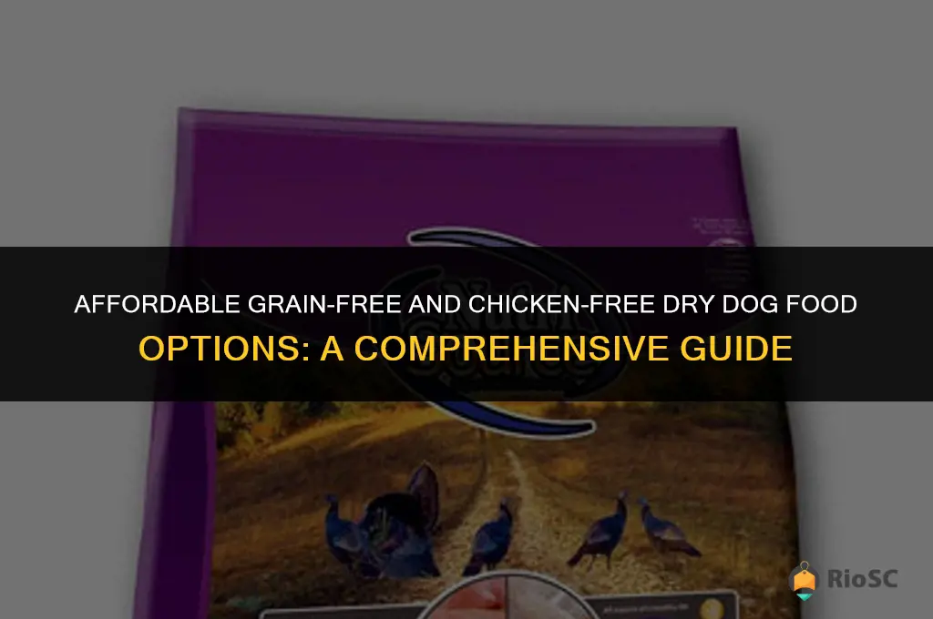 best cheap dry dog food without chicken or grain