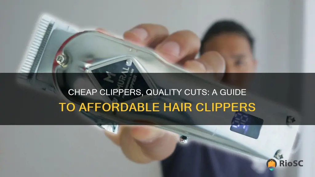 best cheap hair clippers