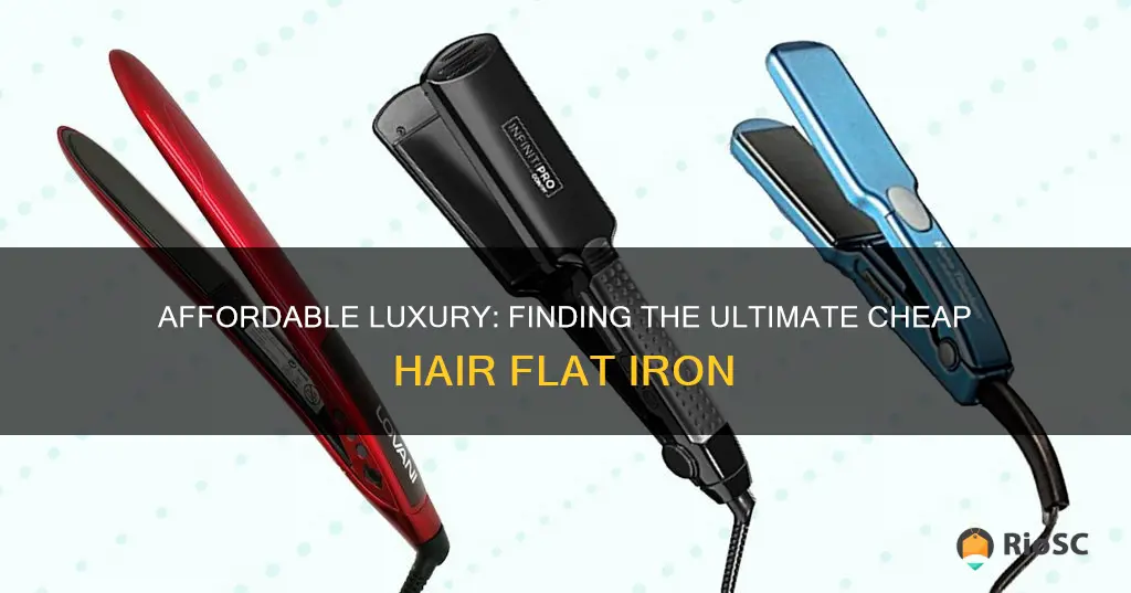 best cheap hair flat iron