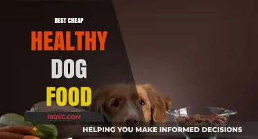 Affordable Nutrition: Unveiling the Best Cheap Healthy Dog Food Options