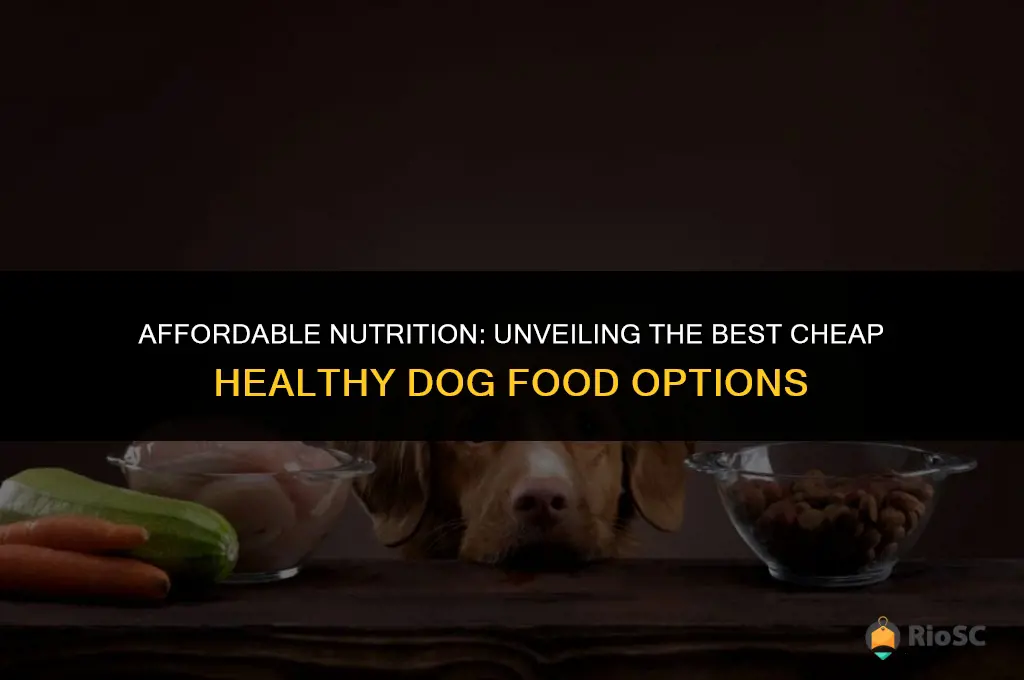 best cheap healthy dog food