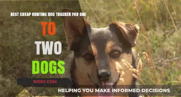 Affordable Hunting Dog Trackers: Top Picks for Monitoring One to Two Dogs on a Budget