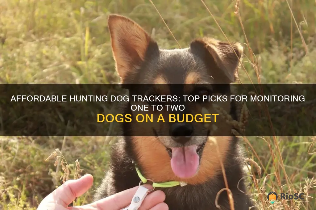 best cheap hunting dog tracker for one to two dogs