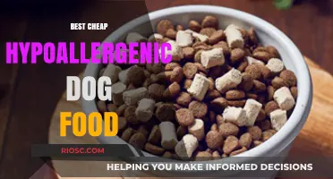 Affordable Allergy-Friendly Feasts: Top Hypoallergenic Dog Food Picks on a Budget