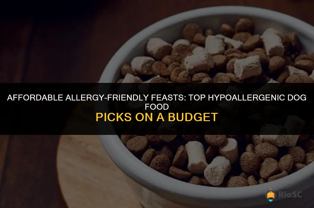 best cheap hypoallergenic dog food