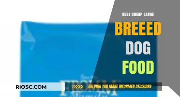 Affordable Nutrition for Big Breeds: A Guide to the Best Cheap Large Breed Dog Foods