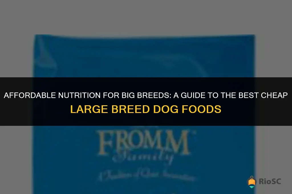 best cheap large breeed dog food