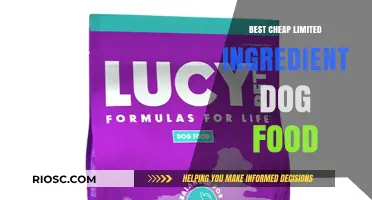 Affordable Simplicity: Top Limited Ingredient Dog Foods for Budget-Conscious Pet Owners
