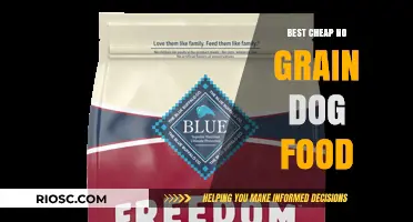 Affordable Grain-Free Dog Food Options: A Comprehensive Guide for Budget-Conscious Pet Owners
