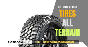 Cheapest Way to Tear Up the Trails: Best Budget All-Terrain Off-Road Tires