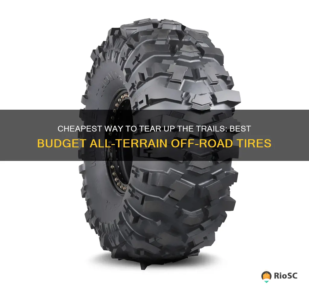 best cheap off road tires all terrain