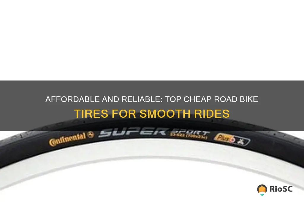 best cheap road bike tires