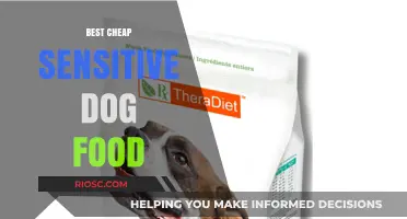 Affordable Nutrition for Sensitive Stomachs: Top Dog Food Picks