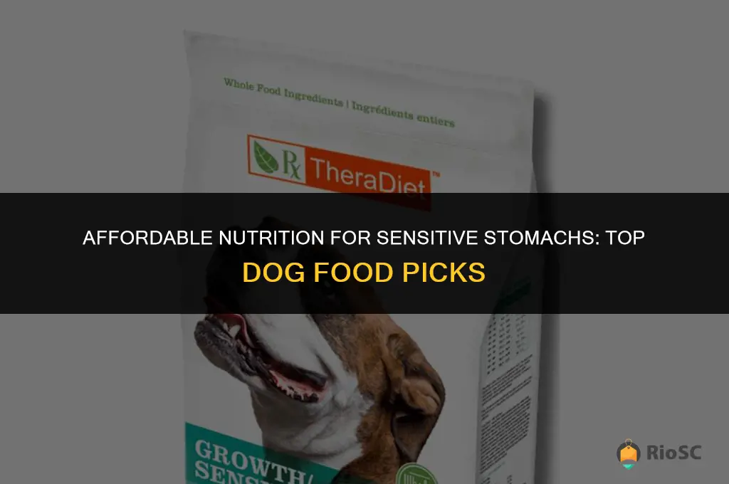 best cheap sensitive dog food