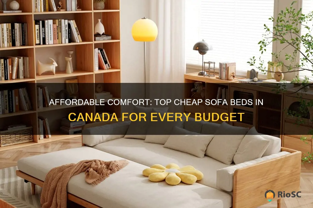best cheap sofa bed canada
