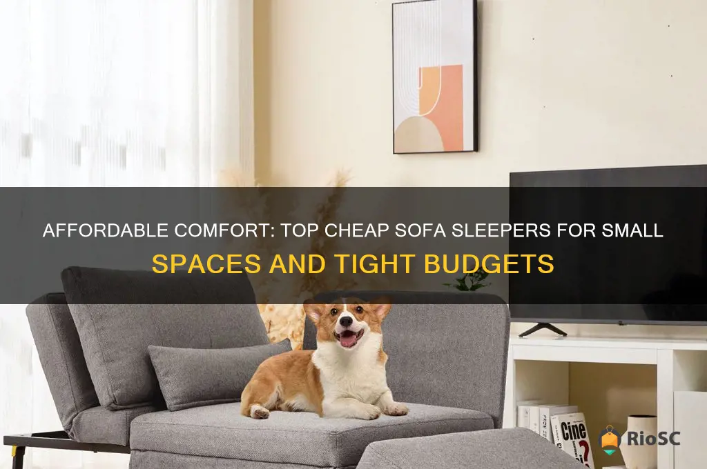 best cheap sofa sleeper