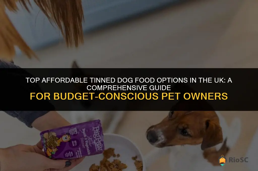 best cheap tinned dog food uk