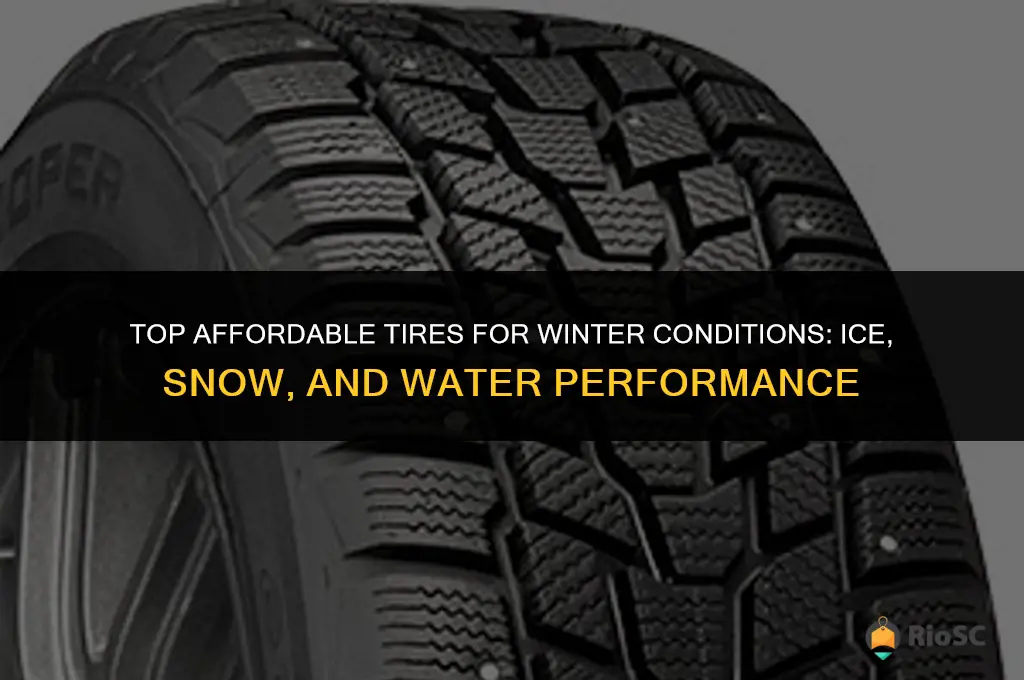 best cheap tires for ice snow and water