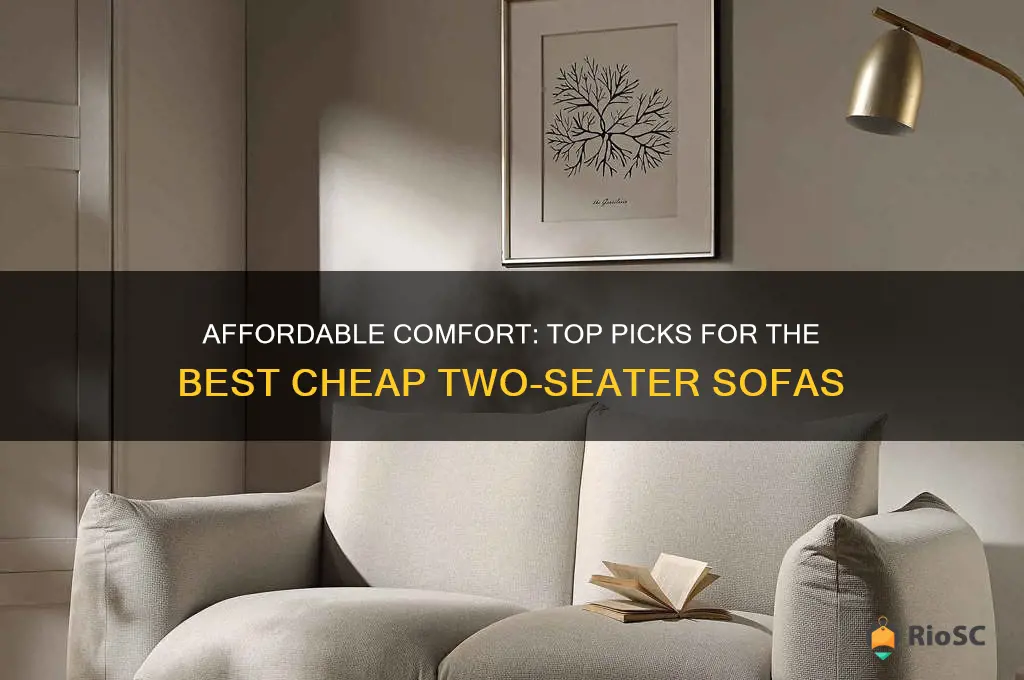best cheap two seater sofa