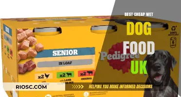 Top Affordable Wet Dog Food Options in the UK: A Comprehensive Guide