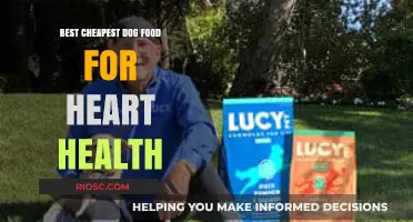 Nourishing Hearts on a Budget: Top Affordable Dog Foods for Cardiac Care