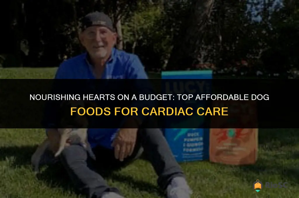 best cheapest dog food for heart health