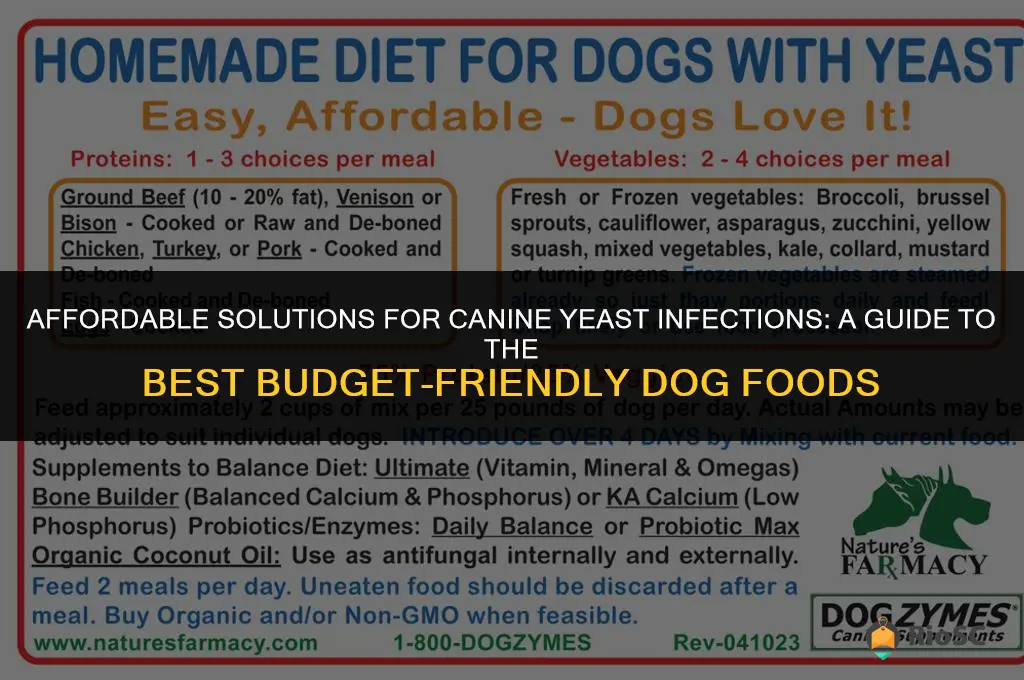 best cheapest dog food for yeast infections