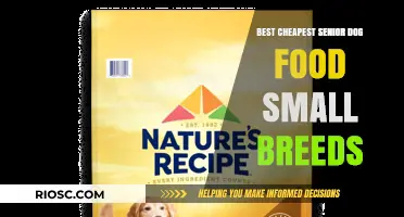 Affordable Nutrition for Small Senior Dogs: Top Picks for Your Aging Companion