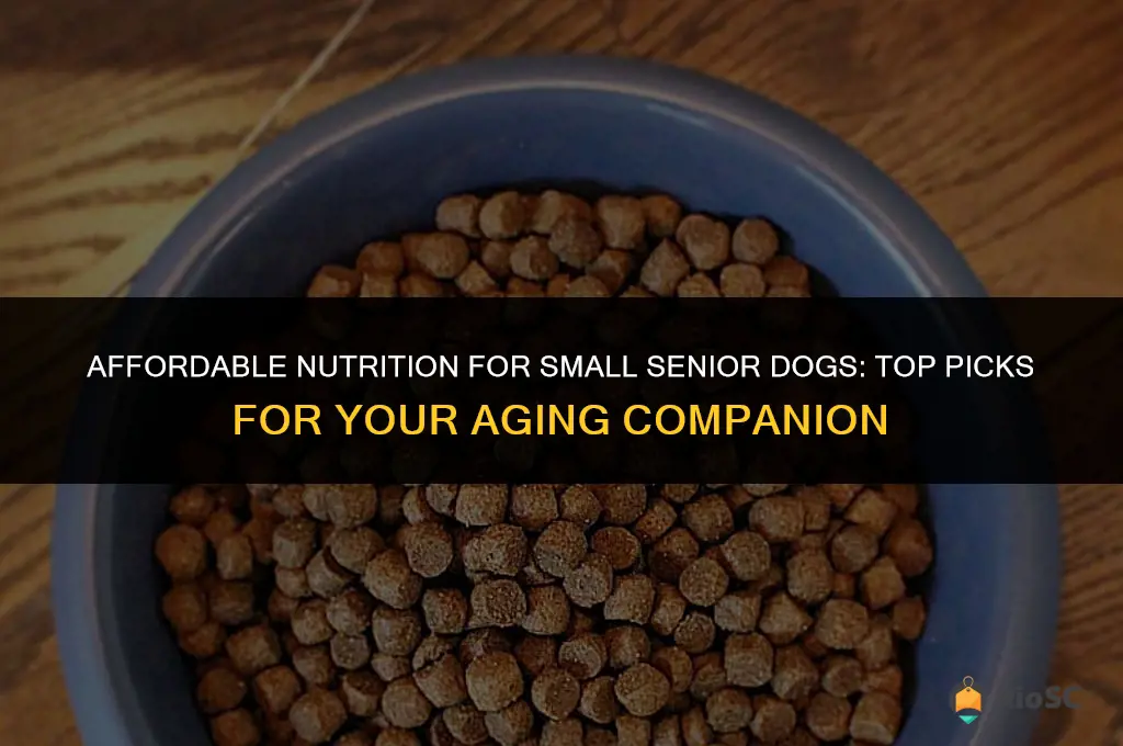 best cheapest senior dog food small breeds