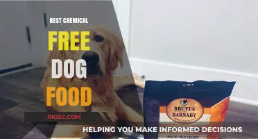 Top Picks for Chemical-Free Dog Food: Nourishing Your Pet Naturally