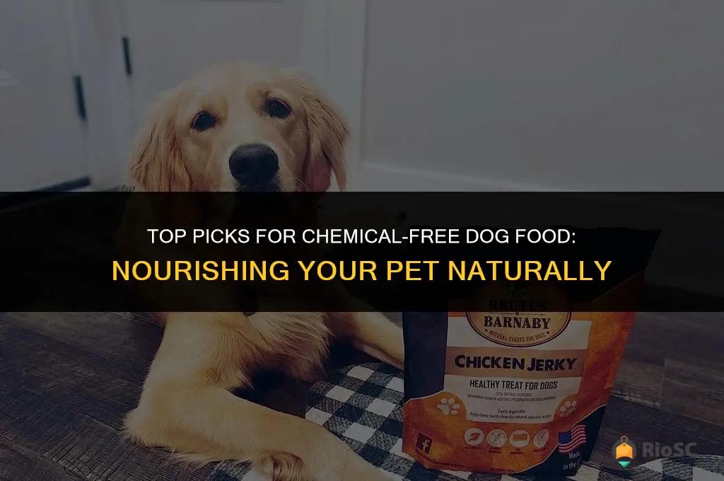 best chemical free dog food