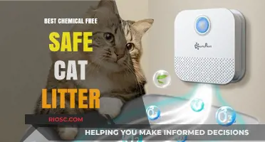 Pure Paws: Discover the Best Chemical-Free, Safe Cat Litter Options for Your Feline Friend
