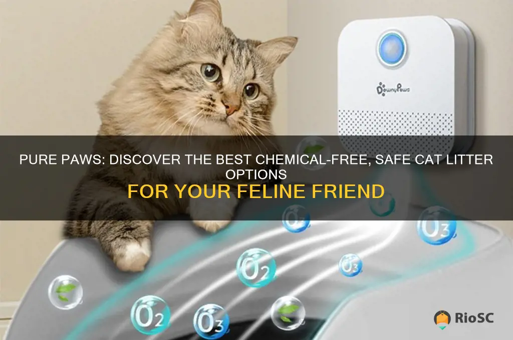best chemical free safe cat litter