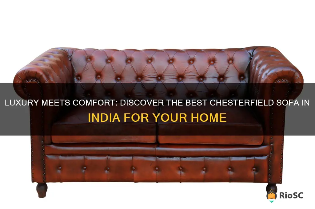 best chesterfield sofa in india