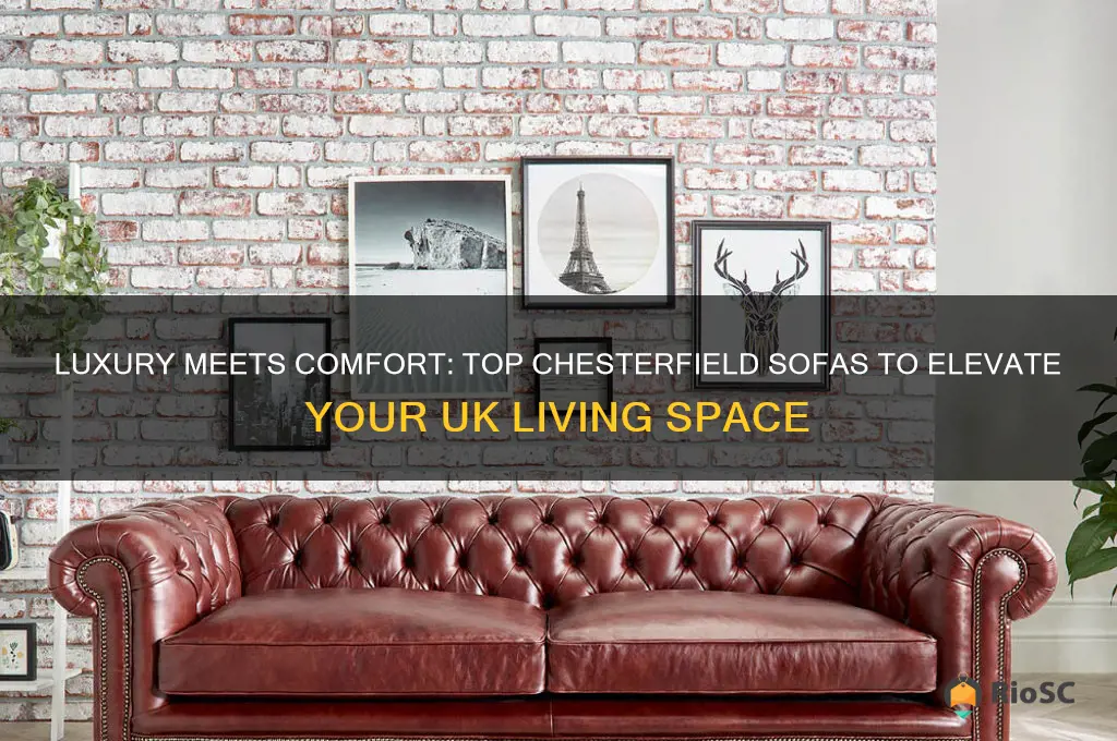 best chesterfield sofas uk