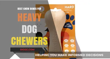 Toughest Chew Bones for Heavy Dog Chewers: Durable Options to Keep Your Pup Busy and Satisfied