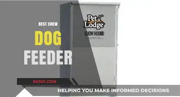 Top Chew Dog Feeder Options to Keep Your Pup Engaged and Healthy
