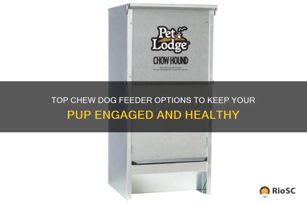 best chew dog feeder