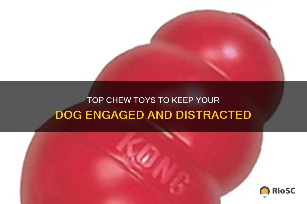 best chew for dog distraction