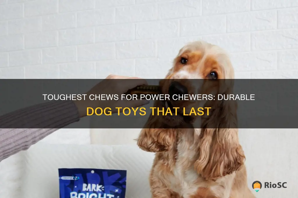 best chew for power chewing dog