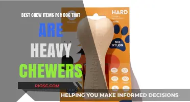Tough Toys for Heavy Chewers: Top Chew Items to Keep Your Dog Busy and Safe