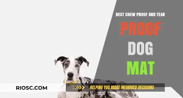 Durable Comfort: Top Chew-Proof and Tear-Proof Dog Mats for Long-Lasting Use
